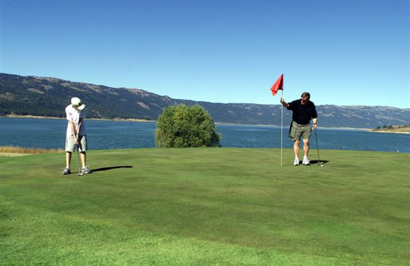 Golf course near The Ashley Inn.