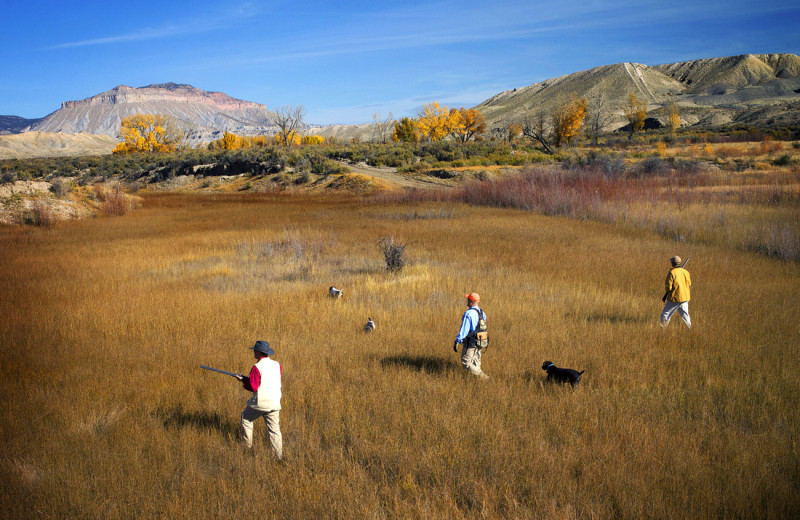 Hunting at Castle Valley Outdoors.