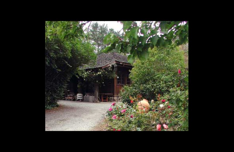 Exterior view of Guest House Bed and Breakfast.