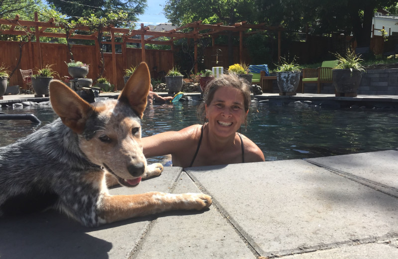 Outdoor pool at Wood Hamlet Ashland AirBnB.