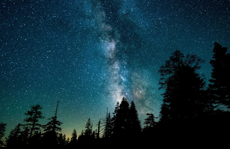Starry sky at Skyport Lodge.
