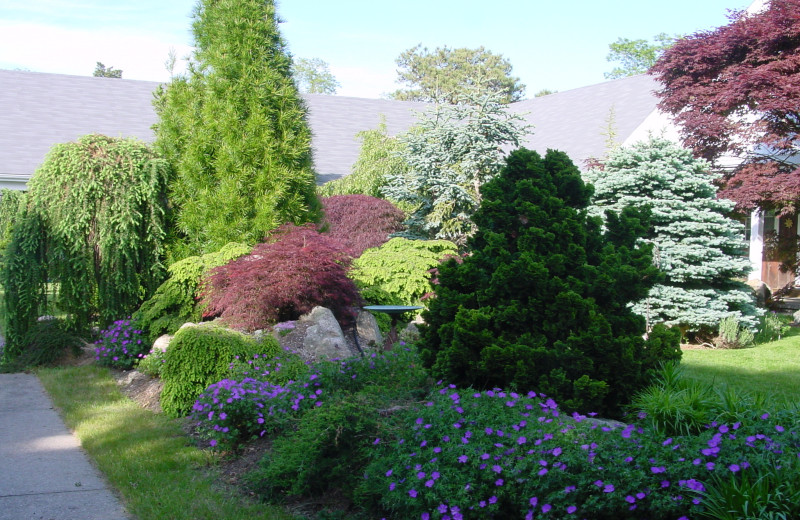 Garden at Pleasant Bay Village.