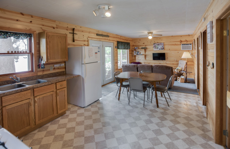 Cabin kitchen at Twin Springs Resort.