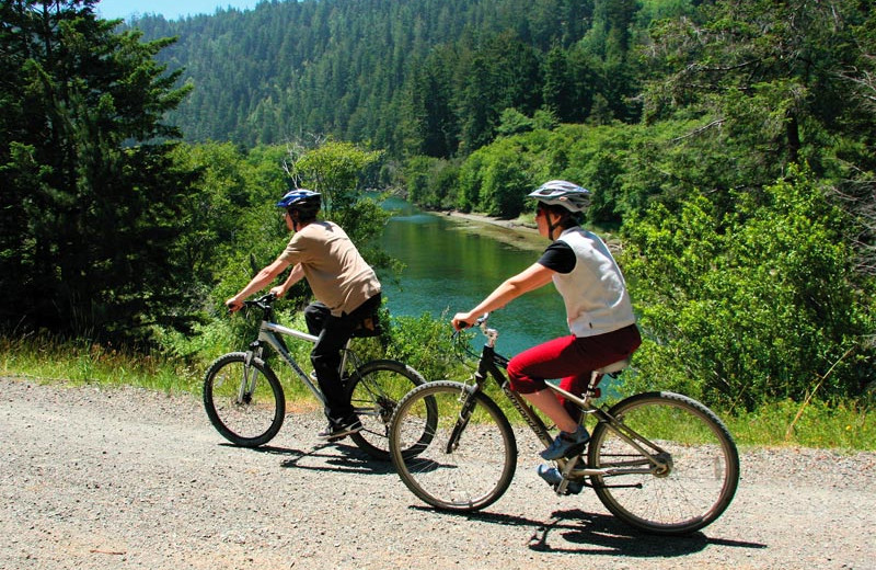 Biking at McCaffrey House Bed and Breakfast.