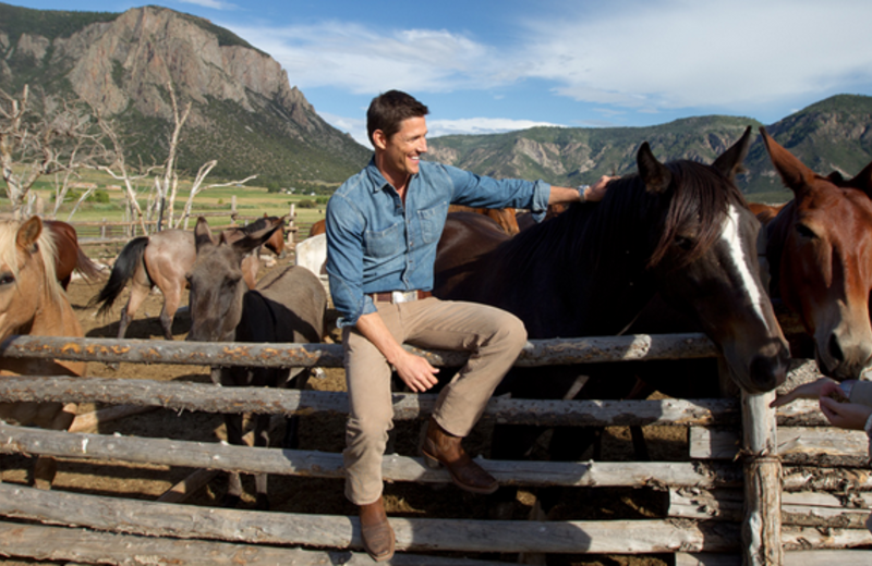 Guy With Horses at Gateway Canyons Resort 