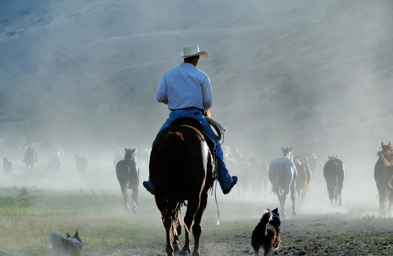 Riding at Rocking Z Ranch.