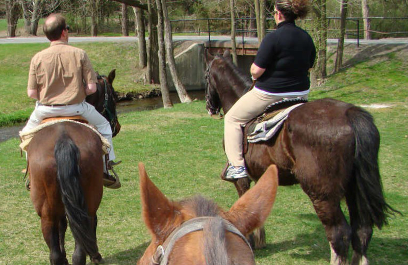 Horseback riding at Fernwood Resort.