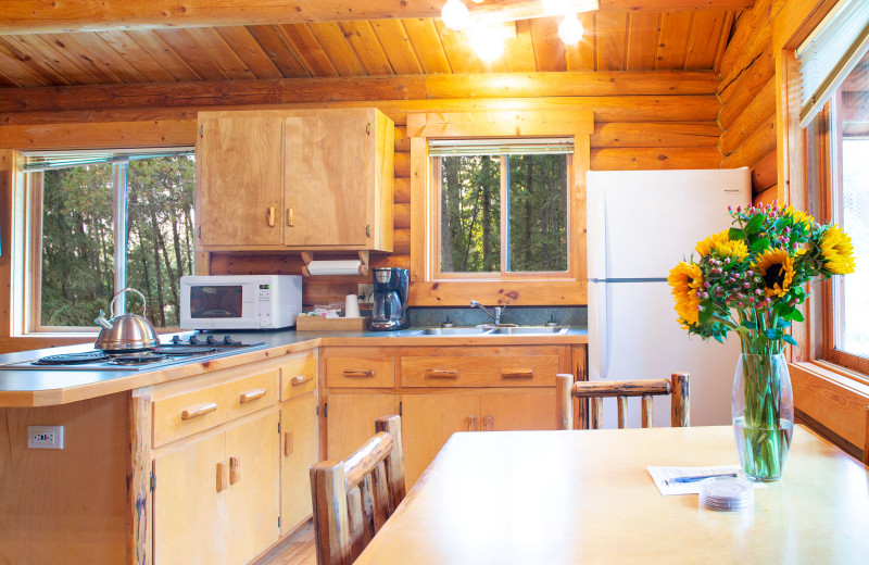 Cabin kitchen at North Forty Resort.