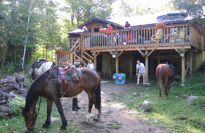 Exterior view of Algonquin Eco-Lodge.