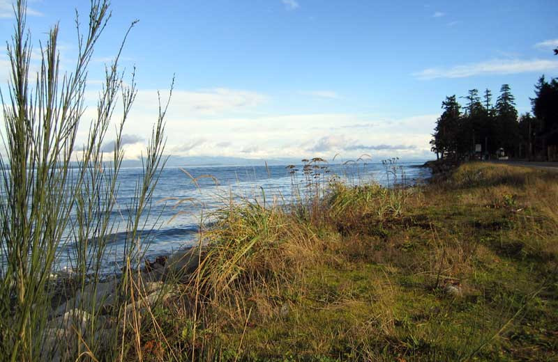 Scenic view at Oyster Bay Resorts.