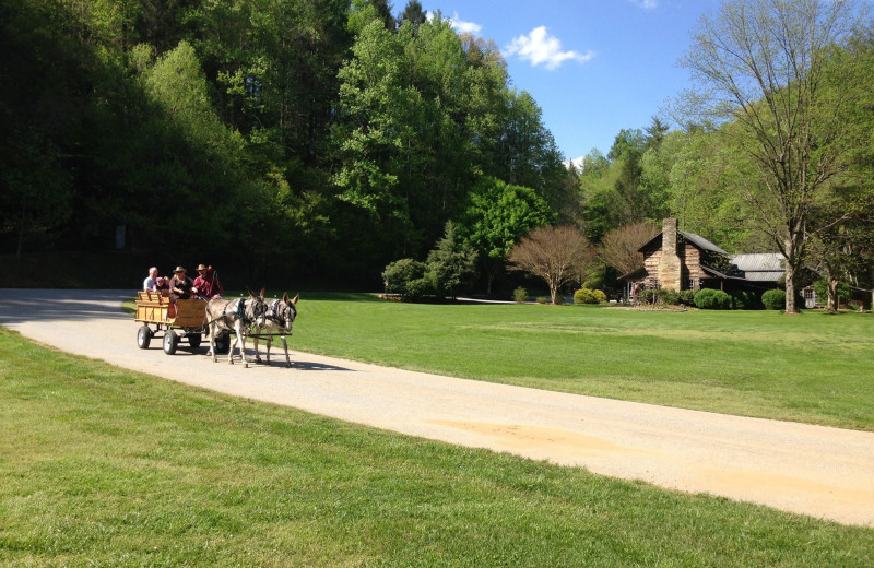 Exterior view of Leatherwood Mountains Resort.