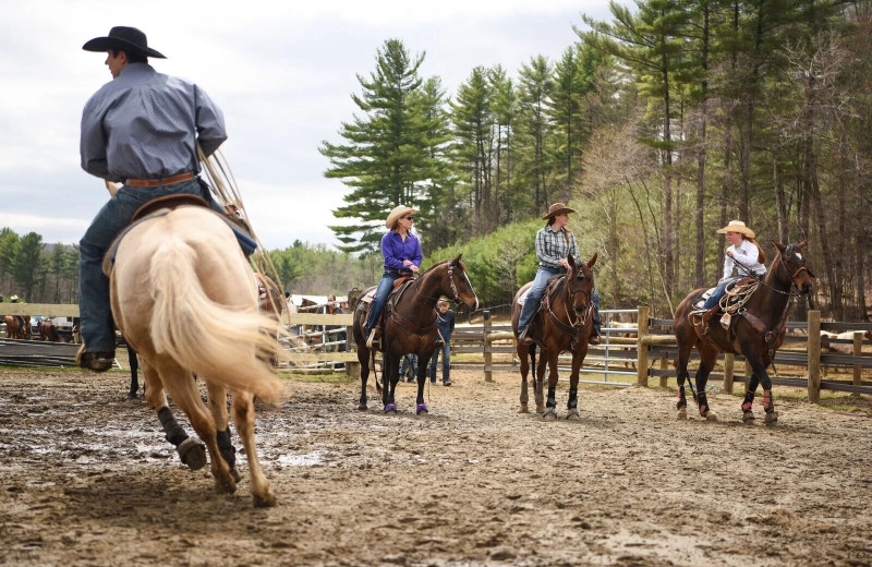 Horseback riding at 1000 Acres Ranch Resort.