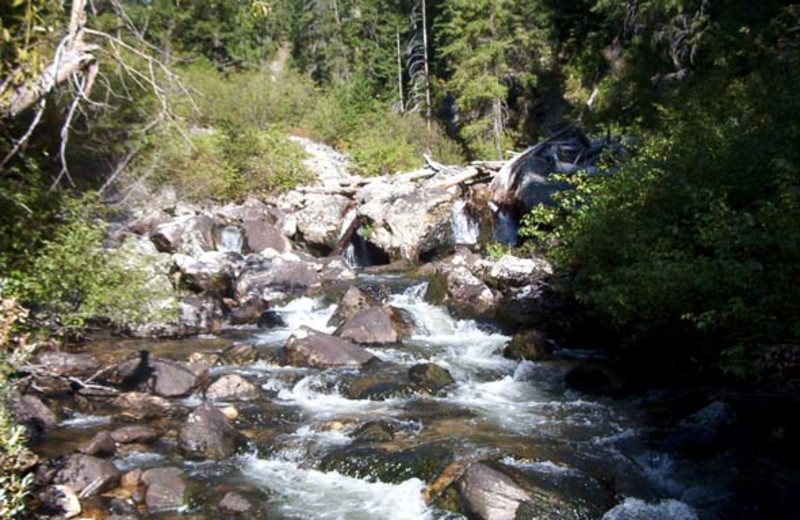 Beautiful creek near Silver Spur Outfitters.