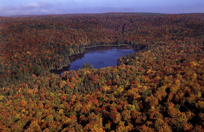 Aerial view of Algonquin Eco-Lodge.