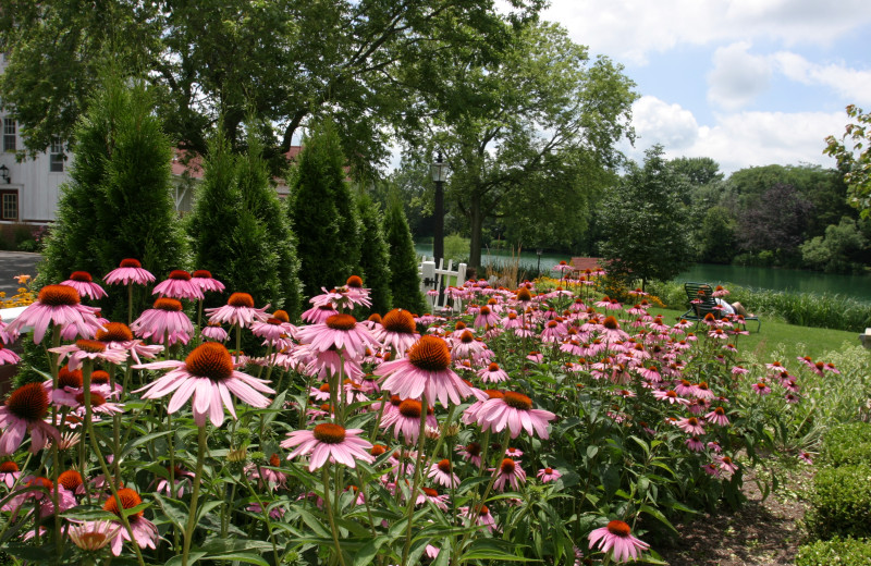 The garden outside Heartland Spa & Fitness Resort.