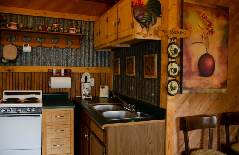 Cabin kitchen at Kel's Kove.