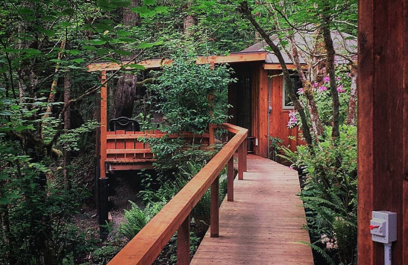 Cabin exterior at Zen River Retreat.