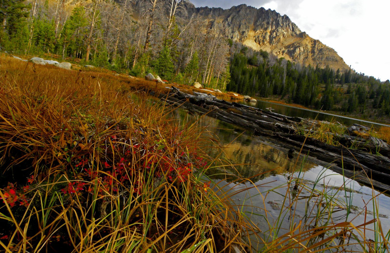 Scenic view at Lochsa Lodge.