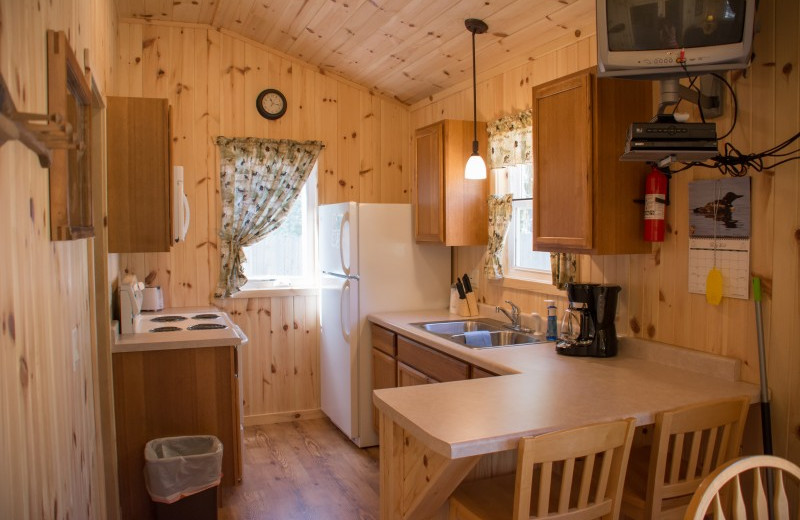 Cabin kitchen at Bear Paw Resort.