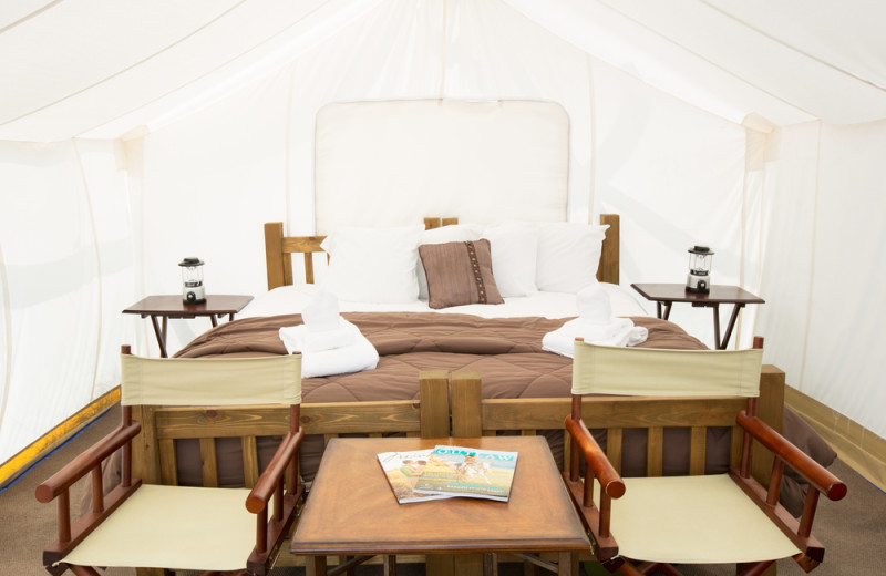 Tent bed at Grand Canyon Under Canvas.