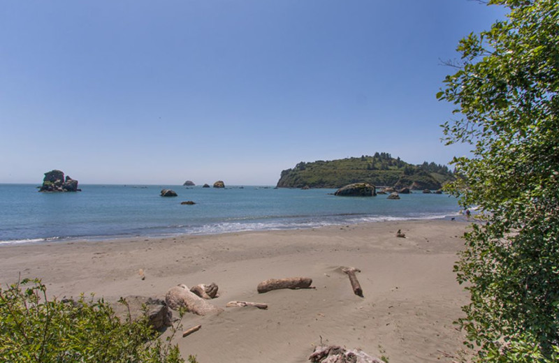 Beach at Trinidad Retreats.