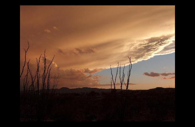 Sunset at Mi Gatita Bed and Breakfast.