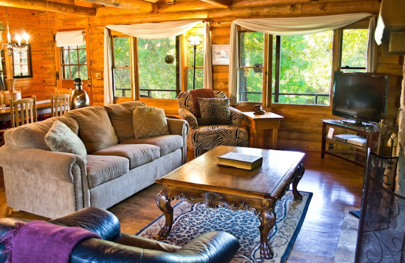 Rental living room at Hill Country Premier Lodging.