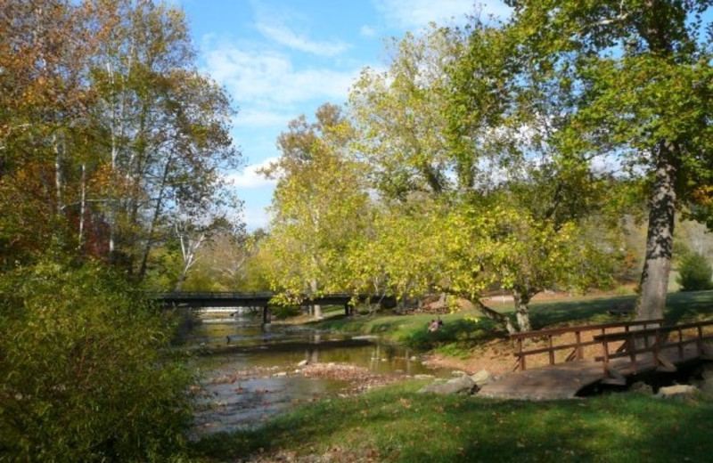 Scenic view at Creekside Resort.