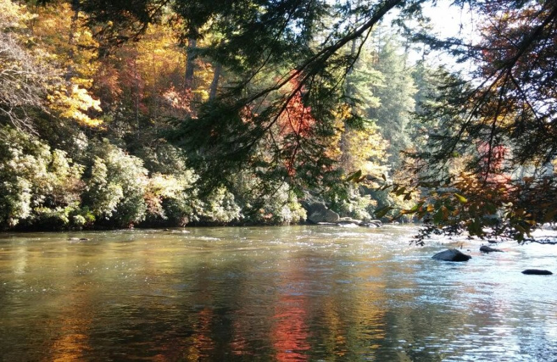 River at Nevaeh Cabin Rentals.