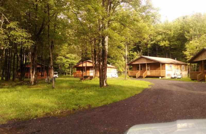 Exterior view of The Woods At Bear Creek Glamping Resort.