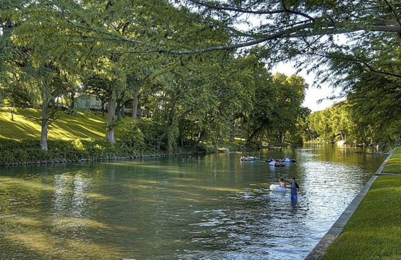 Fishing near River Road Treehouses.