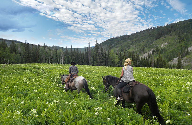 Horseback riding at Wild Skies Cabin Rentals.