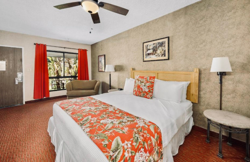 Guest room at Caliente Tropics Resort.