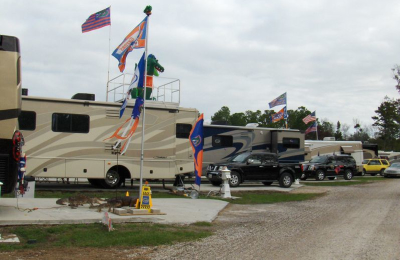 coupon code for flamingo lake rv park