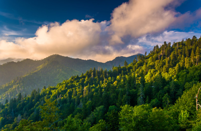 Mountain view at Timber Tops Luxury Cabin Rentals.