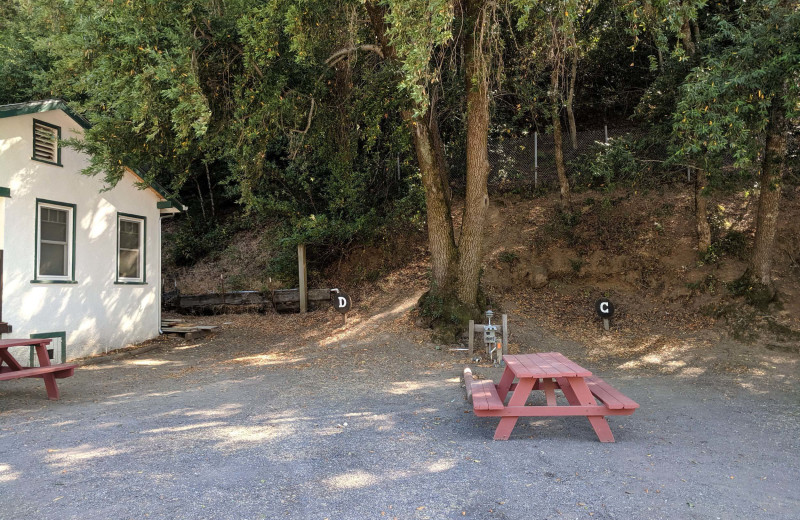 RV campground at Pine Acres Blue Lake Resort.