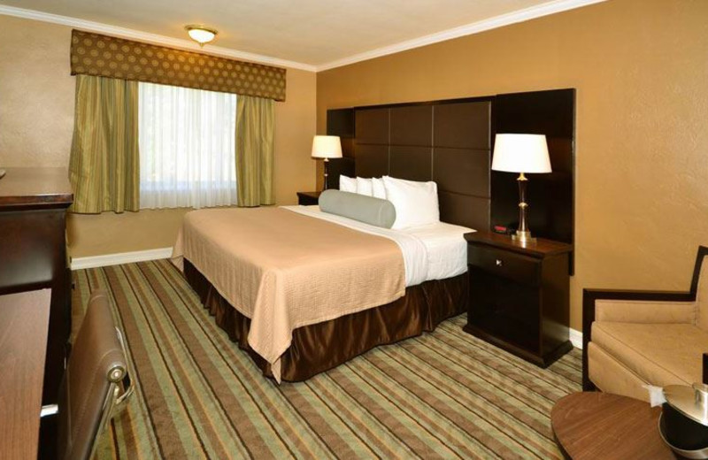 Guest Room at Best Western Carmel’s Town House Lodge