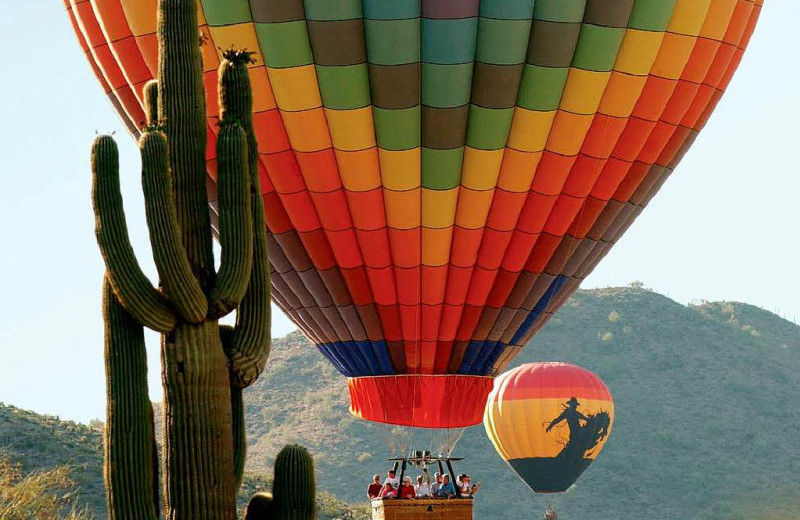 Balloon rides at Gainey Suites Hotel.