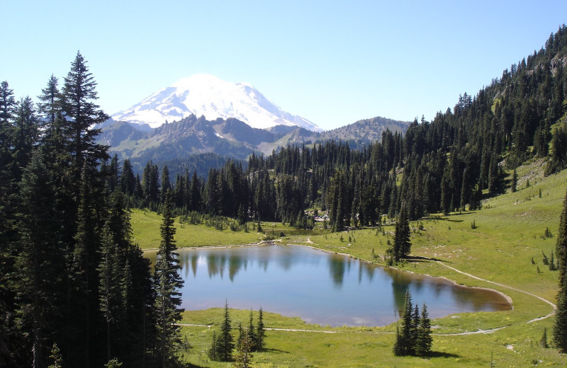 Scenic view near Yellowstone Wildlife Cabins.