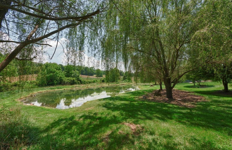 Pond at Steele's Tavern Manor B&B.