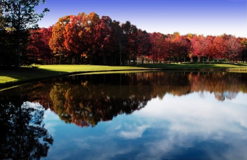 Lake View at The Resort at Glade Springs