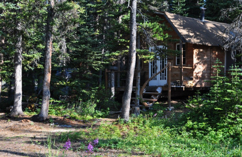 Beach Cabin at Crazy Bear Wilderness Lodge