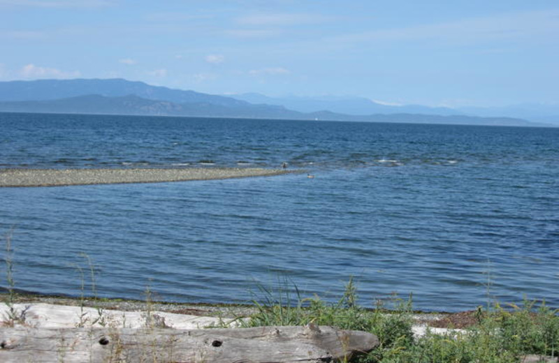 View of the beach at The Shorewater Resort.