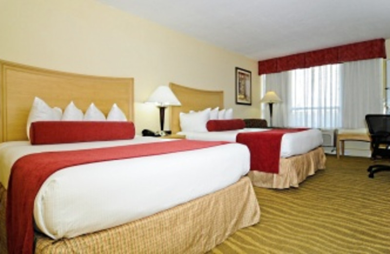 Guest Room at Best Western Plus
