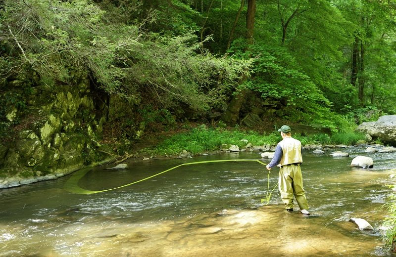 Fishing at Hidden Creek Cabins.