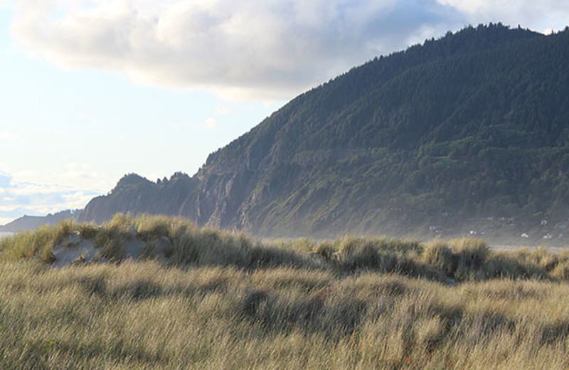 The beach at Manzanita Rental Company.