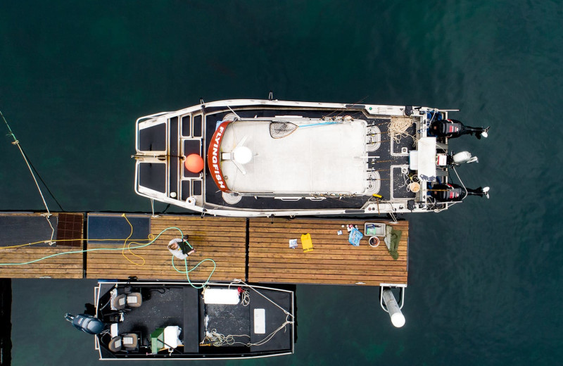 Fishing boat at Elfin Cove Resort.