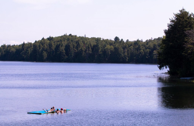 Lake view at Great Blue Resorts- Bonnie Lake Resort.
