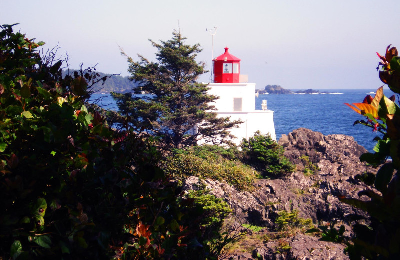 Lighthouse on Wild Pacific Trail just a 20 minute walk from Sutton Cottage.