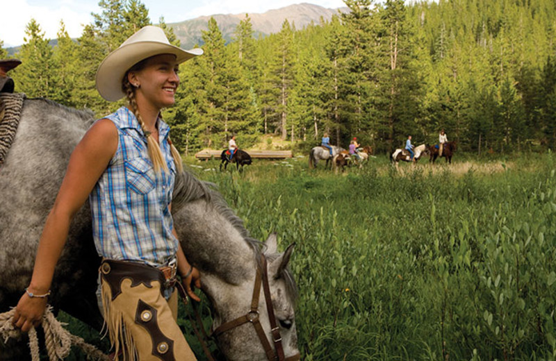 Horseback riding near Breckenridge Discount Lodging.